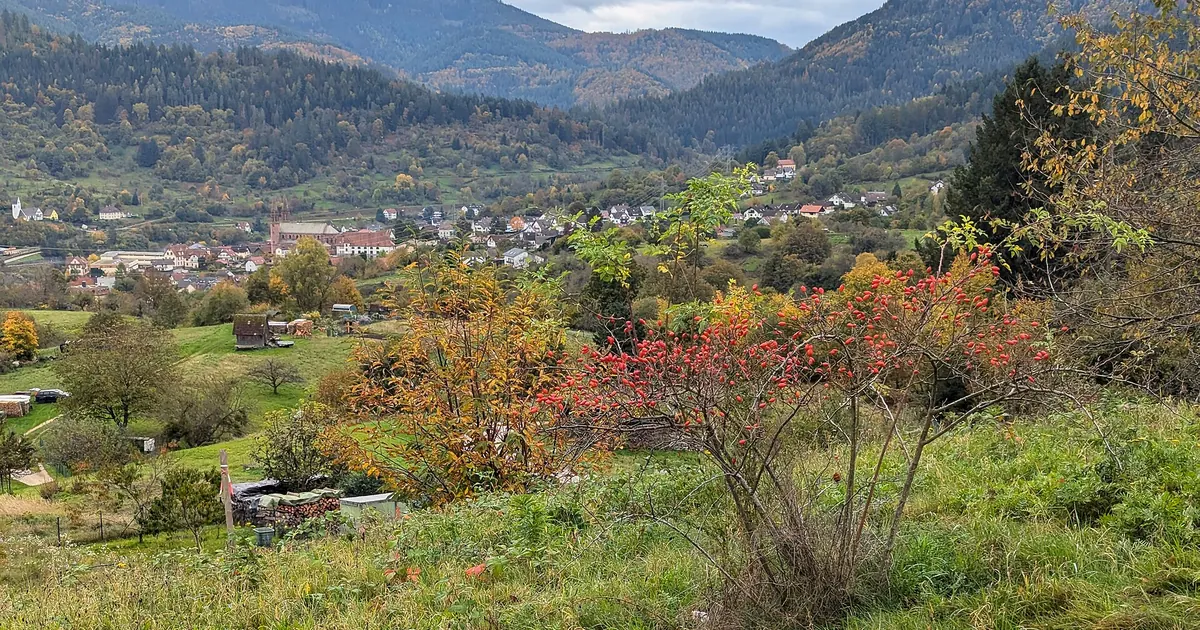 À Forbach, les diagnostics révèlent un parc ancien dominé par les classes C et D — Forbach